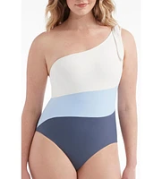 Hermoza Women's Clarice One-Piece Swimsuit