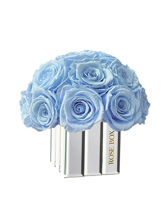 Rose Box Nyc Half Ball of Light Blue Long Lasting Preserved Real Roses in Mini Modern Vase, 25