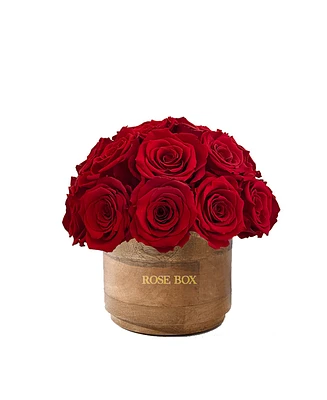 Rose Box Nyc Half Ball of Red Flame Long Lasting Preserved Real Roses Mini Rustic Vase, 26-29 Roses