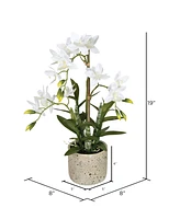 Vickerman 19" Artificial White Deluxe Potted Cycnoches Orchid.