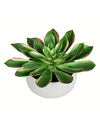 Vickerman 10" Artificial Potted Green Succulent.