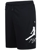 Jordan Big Boys Dri-fit Baseline Mesh Logo Shorts