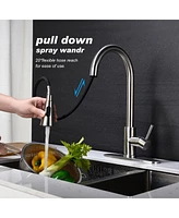 Streamdale Furniture Kitchen Faucet With Pull Out Sprayer