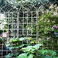 Metal Garden Trellis 86.7" X 19.7" for Climbing Plants