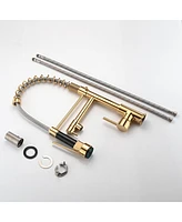 Streamdale Furniture Commercial Pull Down Kitchen Sink Faucet Single Handle Modern Kitchen Faucets