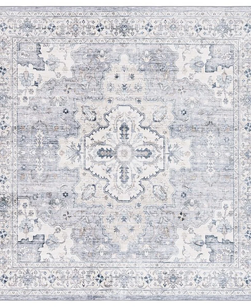 Safavieh Arizona Washable 520 ARZ520 6'x6' Square Area Rug