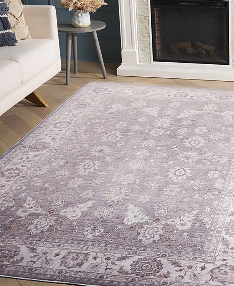 Safavieh Arizona Washable 197 ARZ197 4'x6' Area Rug