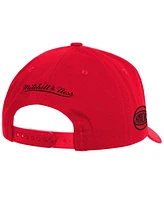 Mitchell Ness Men's Red New York Knicks Fire Red Pro Crown Snapback Hat