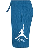 Jordan Little Boys Dri-fit Baseline Shorts