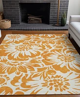 Addison Chantille Machine Washable ACN551 3'x5' Area Rug
