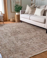 Dalyn Vienna VI6 9'x13'2 Area Rug