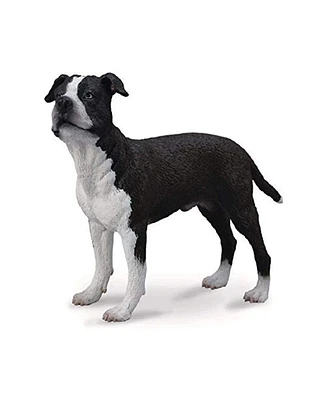 CollectA American Staffordshire Terrier Animal Figure 88610