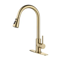 Streamdale Furniture Kitchen Faucet With Pull Out Sprayer