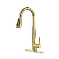 Streamdale Furniture Gold Kitchen Faucets With Pull Down Sprayer, Kitchen Sink Faucet With Pull Out Sprayer