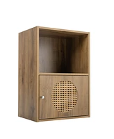 Simplie Fun Bathroom storage cabinet, small storage cabinet, rattan locker, 1 door cabinet, living room, bedroom, home office floor cabinet, rustic br