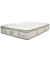 Paramount Nature Spa Oasis 2.0 13" Pillowtop Mattress