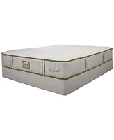 Paramount Nature Spa Serenity 2.0 12" Cushion Firm Mattress