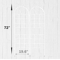 Streamdale Furniture Metal Garden Trellis Set - 2 Pieces, Outdoor Plant Support