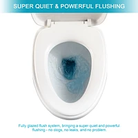 Ceramic One Piece Toilet