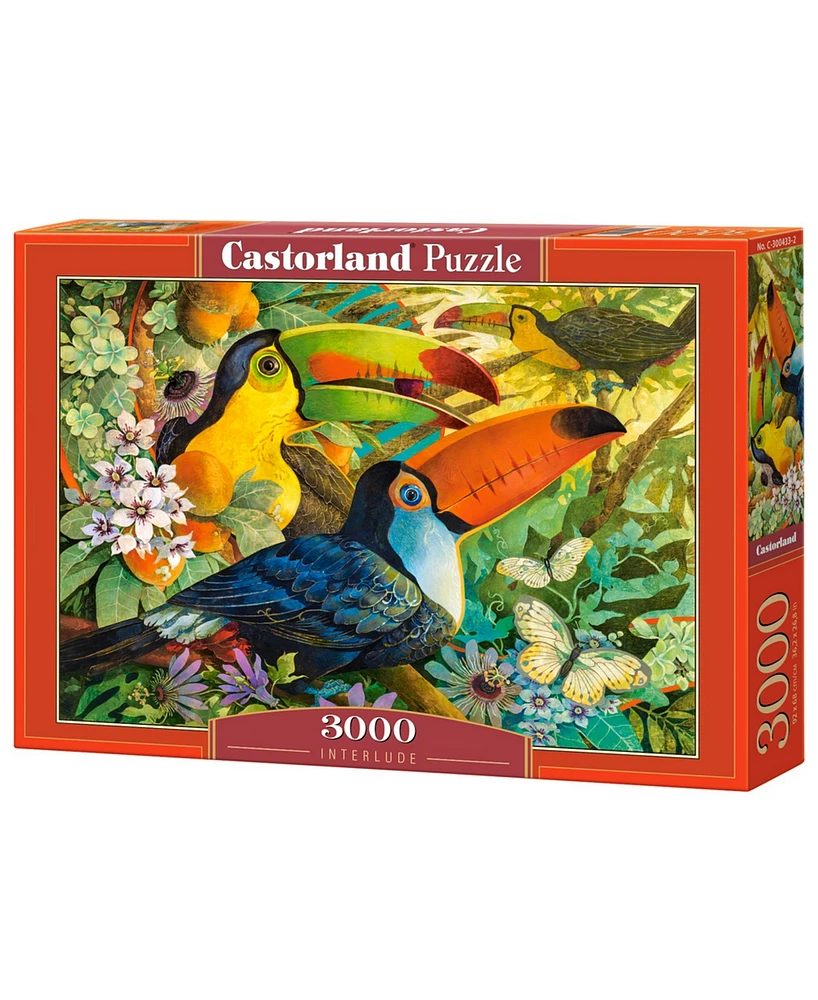 Castorland Interlude 3000 Piece Jigsaw Puzzle