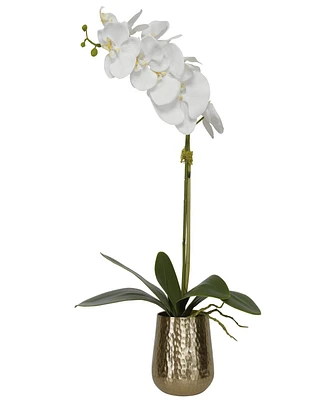 Uttermost Cami Orchid