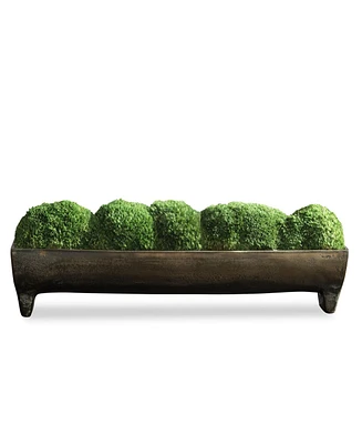 Uttermost Canal Moss, Small Centerpiece