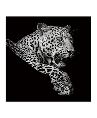 Simplie Fun Leopard In And Acrylic Wall Art (40 H X 40 W)