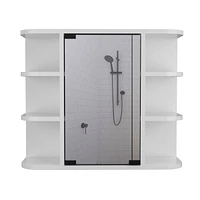 Roseburg 6-Shelf Medicine Cabinet With Mirror