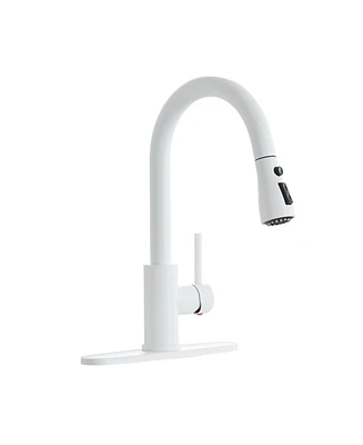 Mondawe Kitchen Fucets with Pull Down Spray Sink Faucet Retractable Brass Hot and Cold Swivel