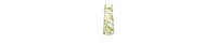 Design Imports Lemon Bliss Kitchen Collection, Chef Apron