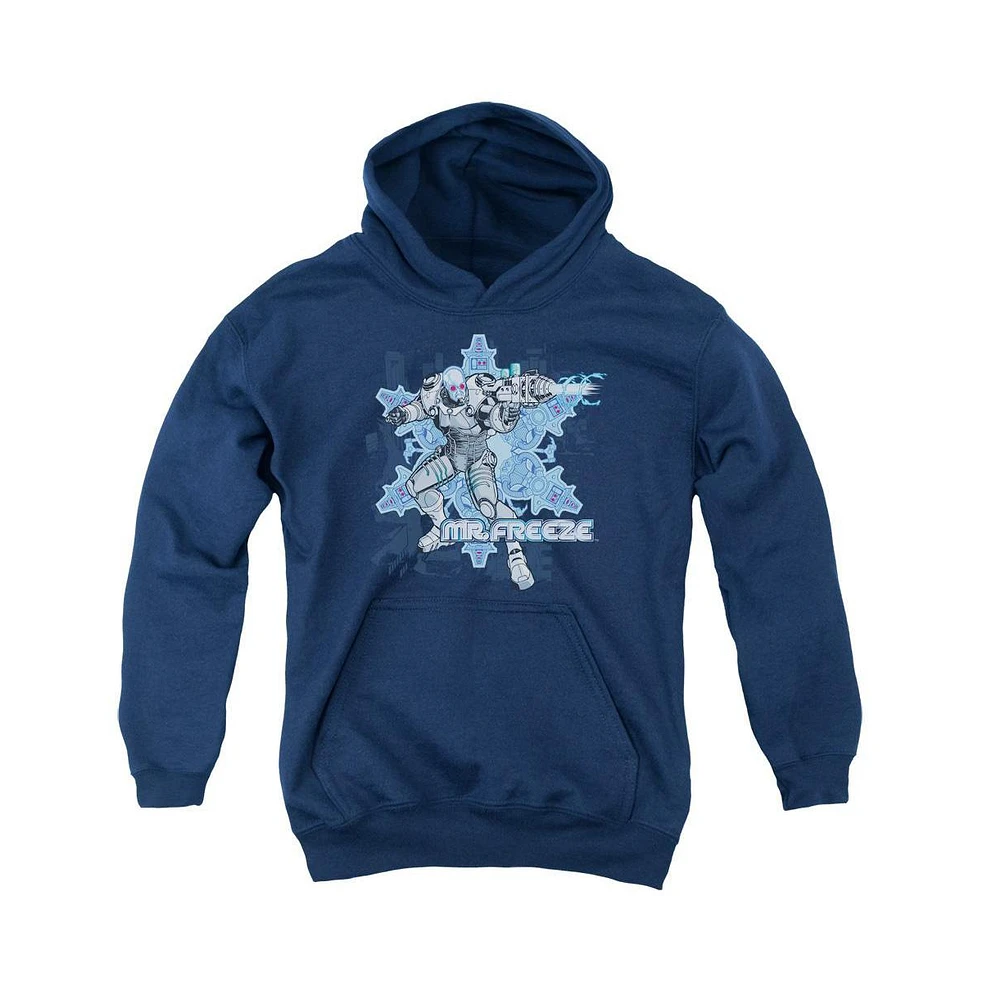 Batman Boys Youth Mr Freeze Pull Over Hoodie / Hooded Sweatshirt