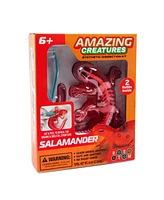 World Tech Toys Amazing Creatures Synthetic Dissection Kit - Salamander