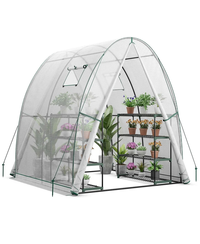 Costway Portable Greenhouse with 2 Zippered Doors Roll-up Screen Windows