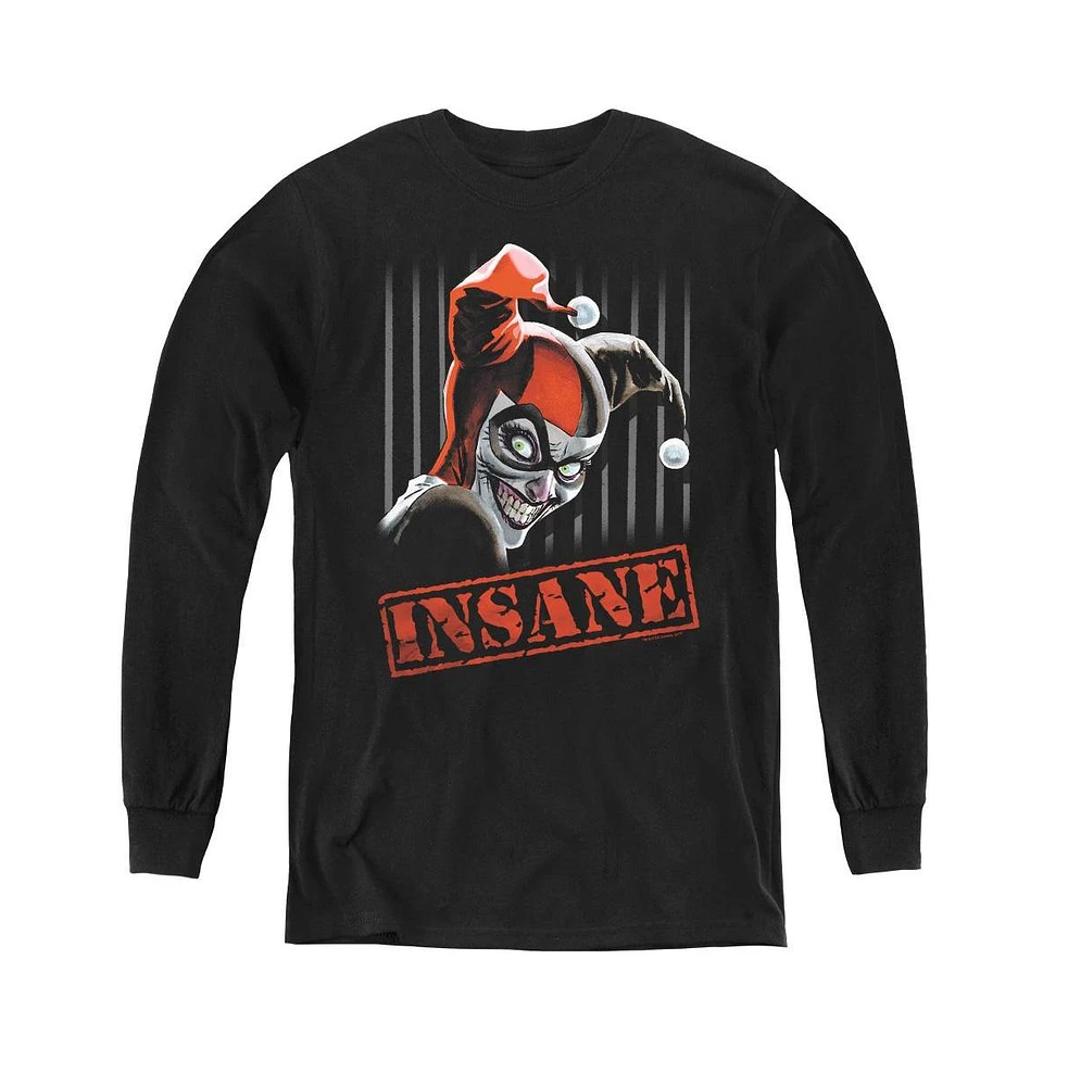 Batman Boys Youth Insane Long Sleeve Sweatshirts