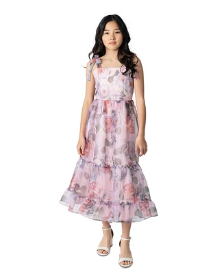 Rare Editions Big Girls Floral-Print Organza Maxi Dress