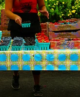 Rsvp International Aluminum Frame 17x11x18" Turquoise Foldable Market Basket