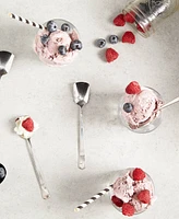 Rsvp International Endurance Stainless Steel 4 Piece 6" Ice Cream Spoons Set