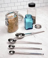 Rsvp International Endurance 18/8 Stainless Steel 4 Piece Long Handle Measuring Spoon