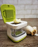 Rsvp International 5 Piece Plastic and Stainless Steel 2.8x2.8" Garlic Cube