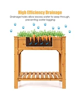 8 Grids Raised Garden Bed Elevated Planter Box Kit Wood
