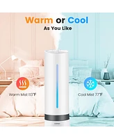 Costway Humidifier for Large Room 9L Warm & Cool Mist Top Fill Ultrasonic Air Vaporizer