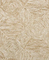 Lr Home Nova Aur-383 7'9"x9'9" Area Rug