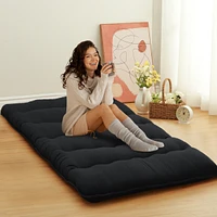 Caromio Twin Futon Mattress Floor Pad Portable Dorm Sleeping Pad, 39"x 80"