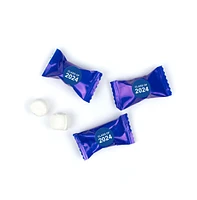 Just Candy Graduation Candy Mints Party Favors Individually Wrapped Buttermints Class of 2024
