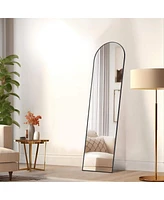 Floor Standing Mirror, Wall Mirror With Stand Aluminum Alloy Thin Frame, 21"X64",Black