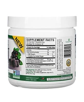 Nature's Answer Black Elderberry Sambucus Daily Gummies 2X Strength 3 200 mg