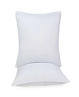 Superior Microfiber Square Down Alternative 2-Pack Pillows, 24" x 24"