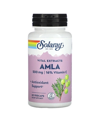 Solaray Vital Extracts Amla 500 mg