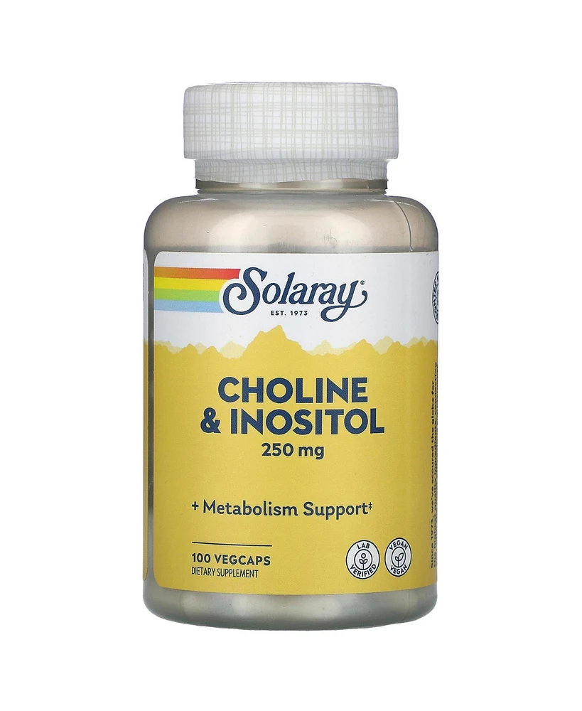 Solaray Choline & Inositol 250 mg | Two