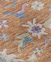 Dalyn Hatay Washable HY7 10'x14' Area Rug